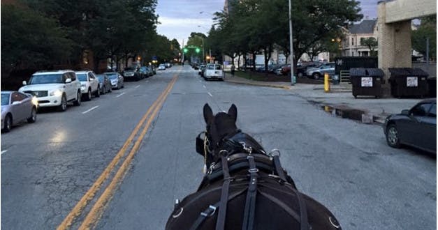Horse-drawn carriage on road