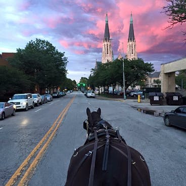 sunset with horse in foreground