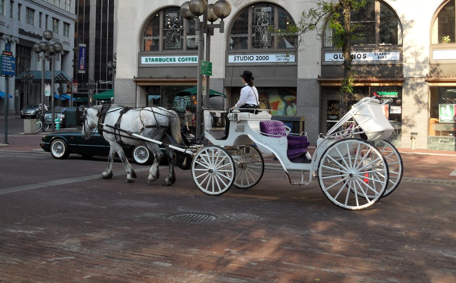 white horse and white carriage