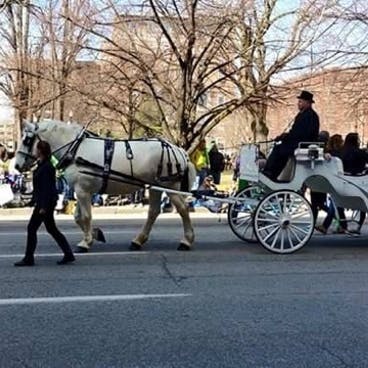 Horse drawn carriage
